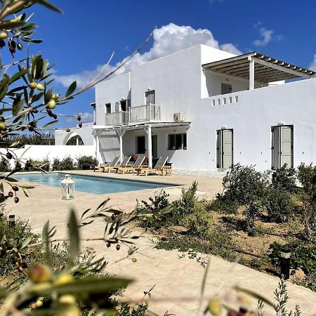 White Pearl Villa Naxos With Private Swimming Pool Naxos City Eksteriør bilde