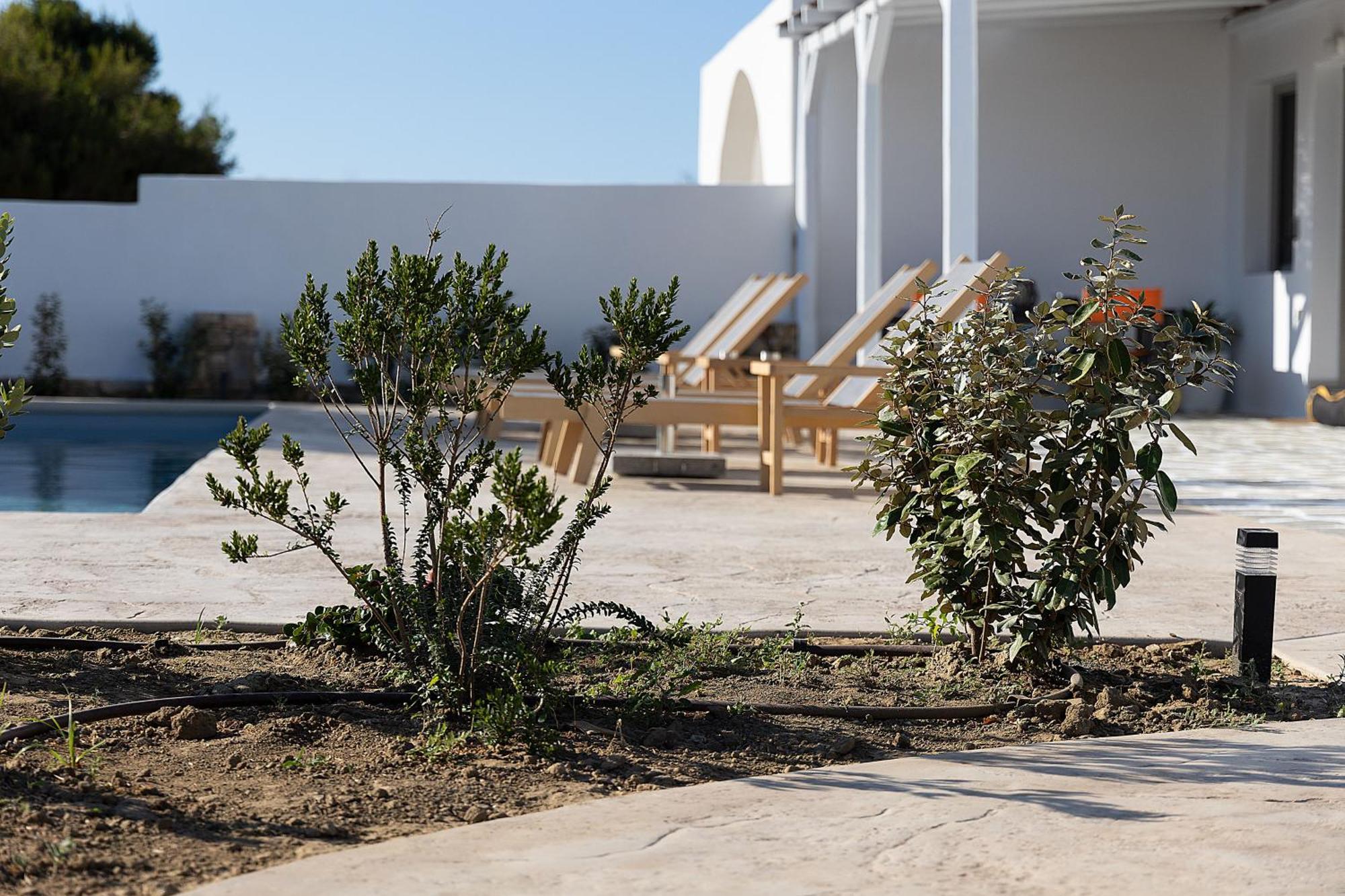 White Pearl Villa Naxos With Private Swimming Pool Naxos City Eksteriør bilde