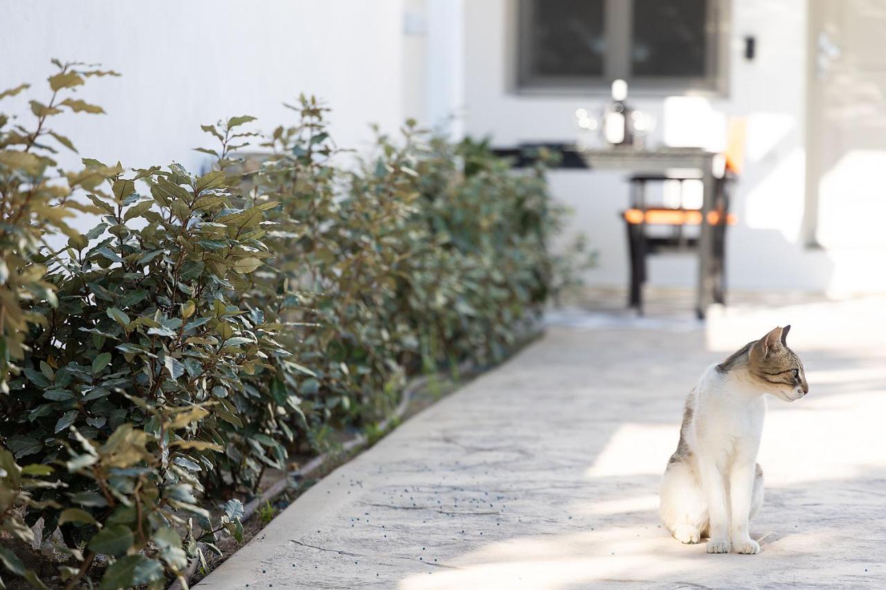 White Pearl Villa Naxos With Private Swimming Pool Naxos City Eksteriør bilde