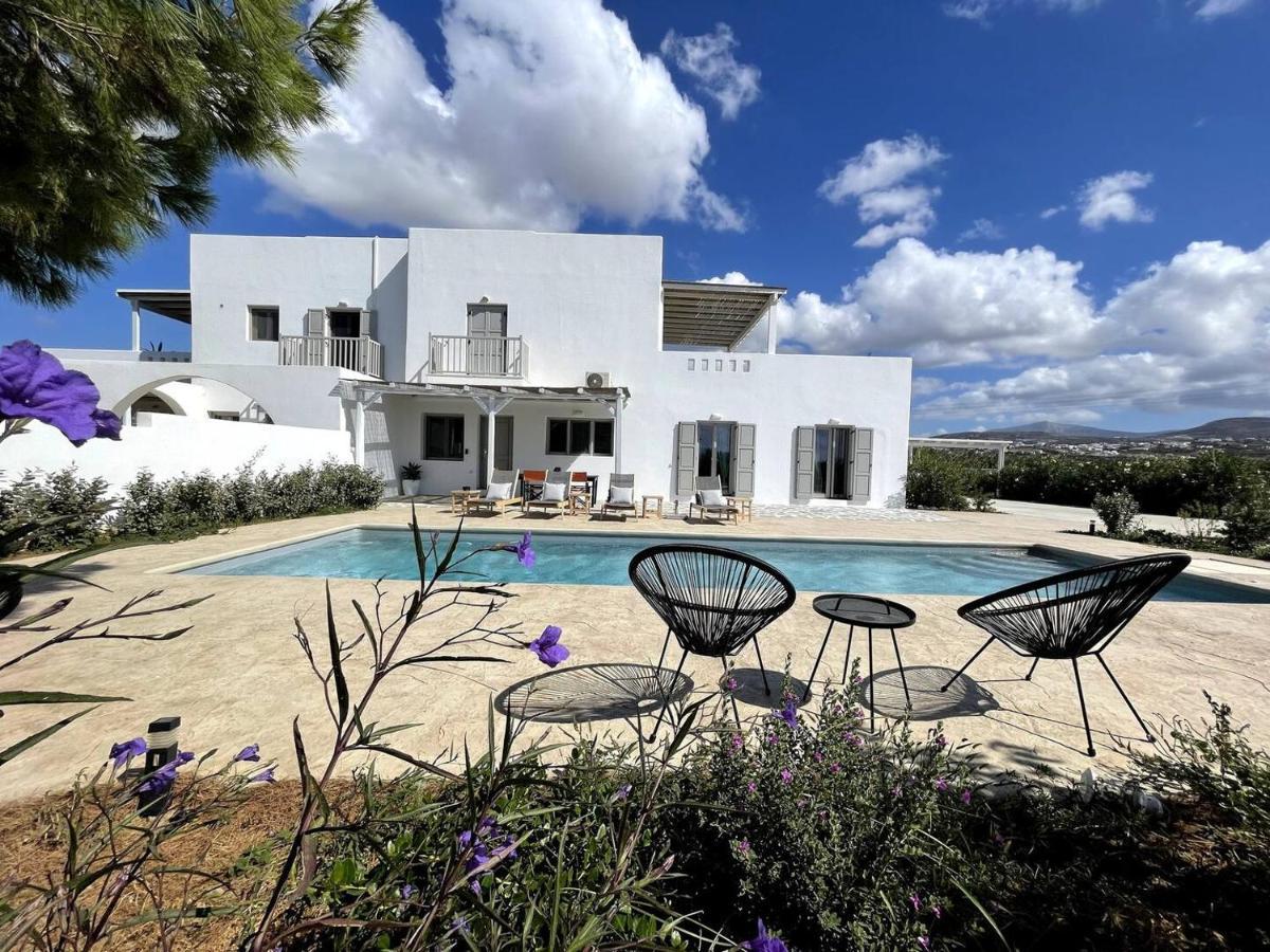 White Pearl Villa Naxos With Private Swimming Pool Naxos City Eksteriør bilde