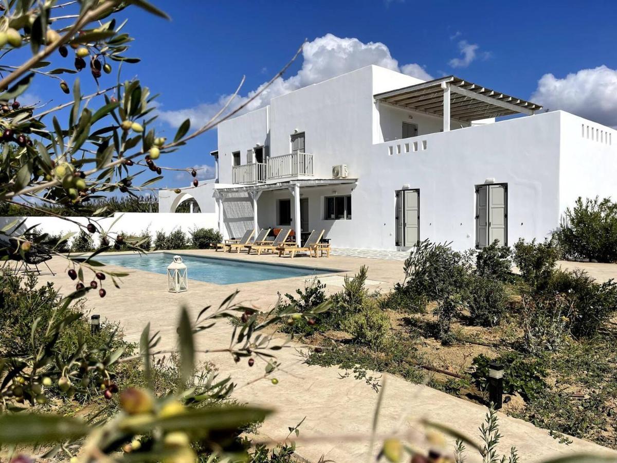 White Pearl Villa Naxos With Private Swimming Pool Naxos City Eksteriør bilde