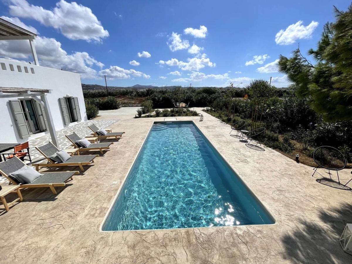 White Pearl Villa Naxos With Private Swimming Pool Naxos City Eksteriør bilde